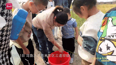 截自石榴云/新疆日报视频