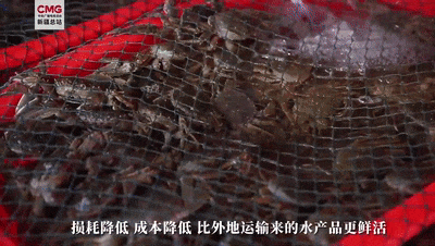 截自央视新闻客户端视频