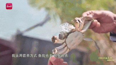 截自石榴云/新疆日报视频