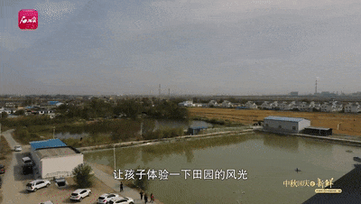 截自石榴云/新疆日报视频