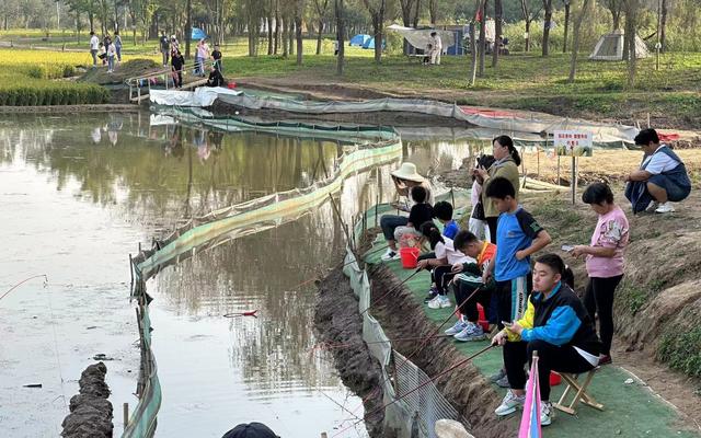 游客在稻田边钓螃蟹.新京报记者 王巍 摄