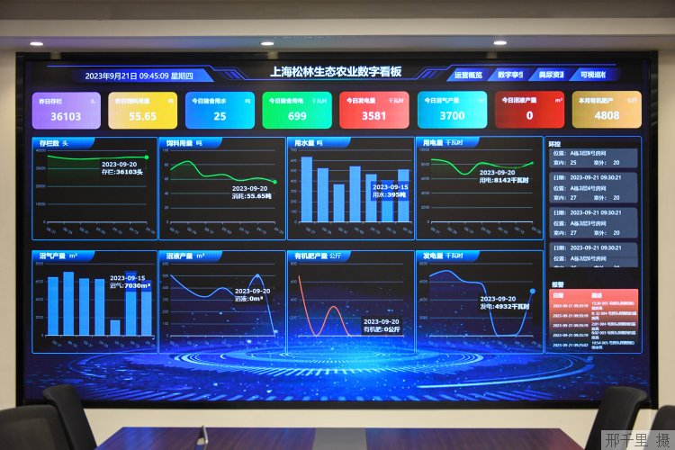 赵峰打开"上海松林生态农业数字看板",每日肉猪存栏数量和饲料,水电