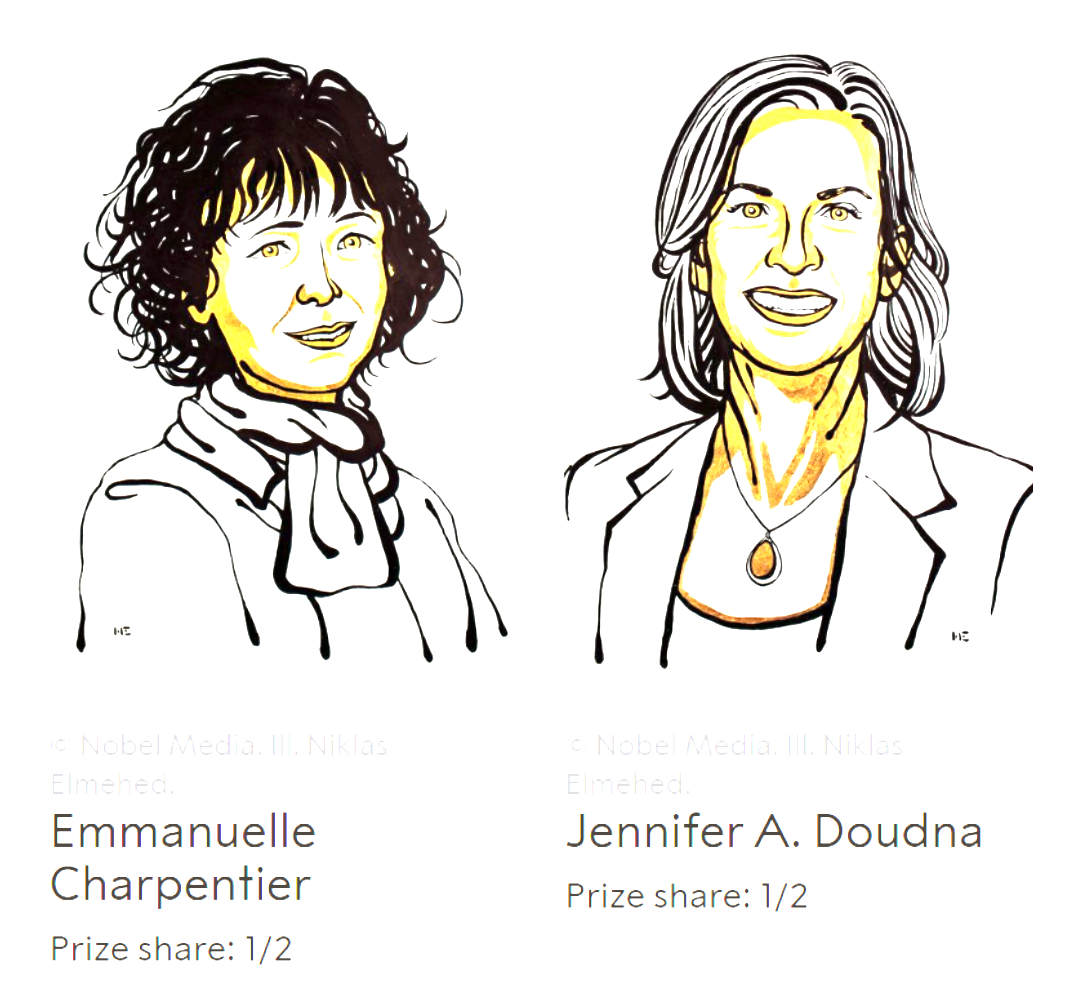 2020年诺贝尔化学奖首次授予两位女性.