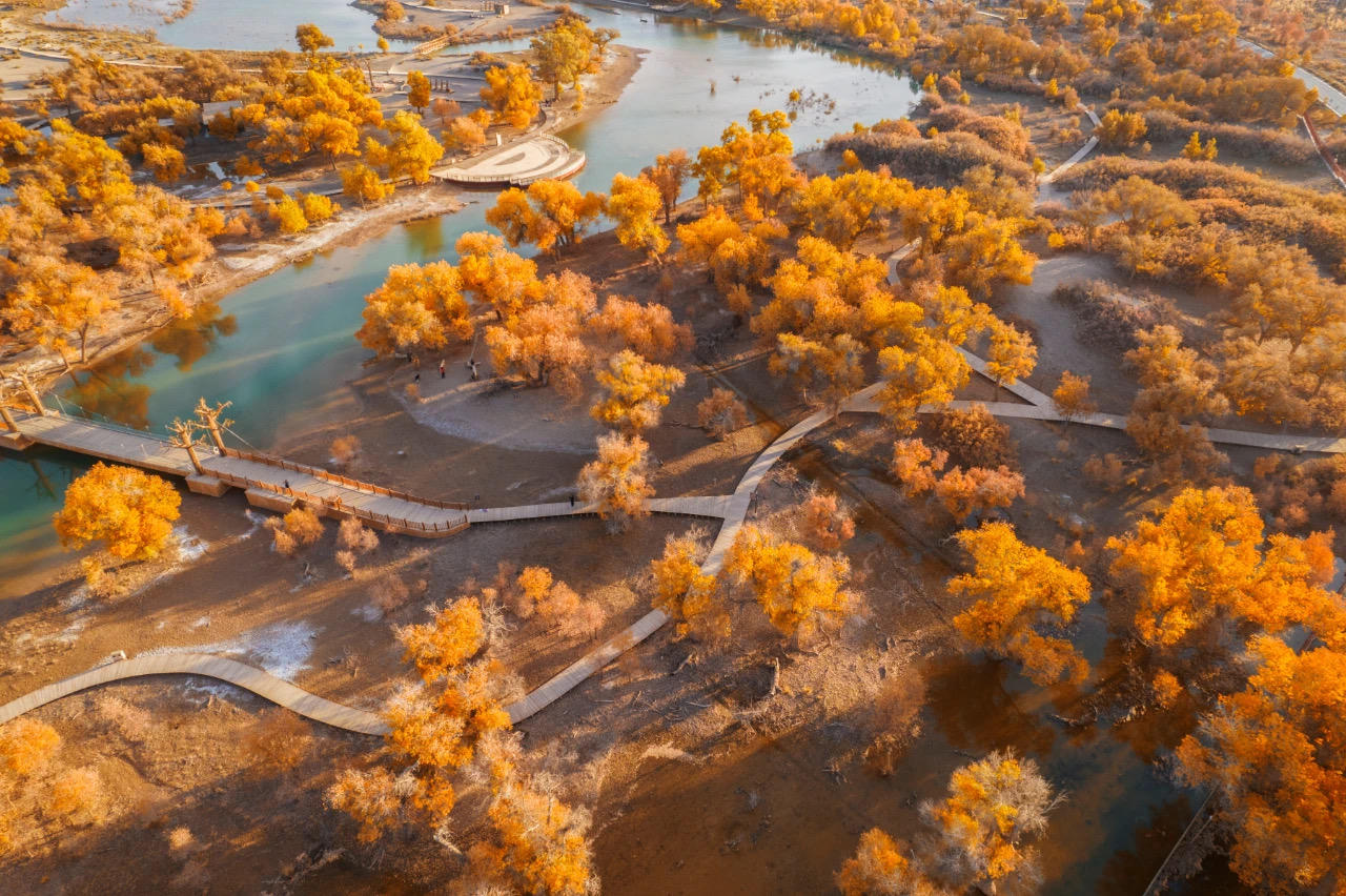 淖毛湖胡杨林风景区图片