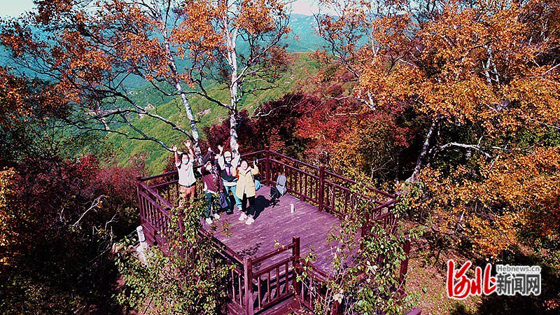 河北日报记者 陈宝云摄