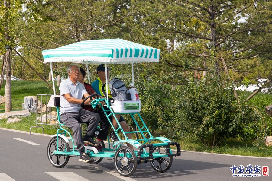 游客乘坐观光自行车在园内游玩.中国雄安官网毛鹤然 摄
