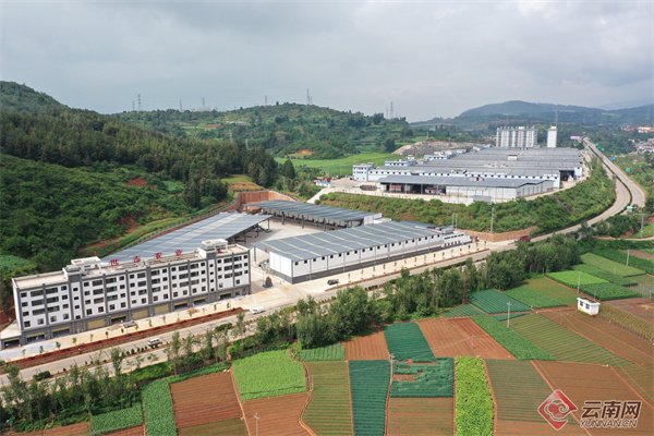 产值超30亿!玉溪江川全速推进滇中特色农产品加工产业园建设