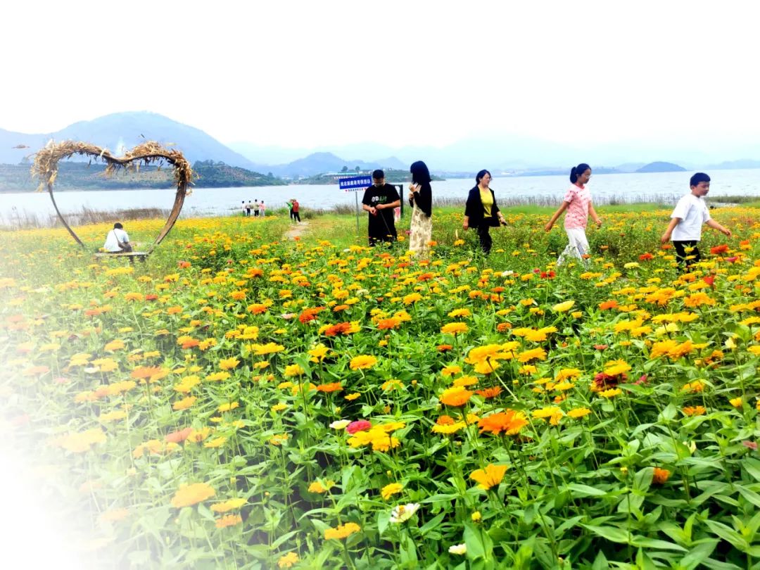 &nbsp;10月2日,通山县大畈镇鹿眠塘景区,不少市民在此赏花,领略美景