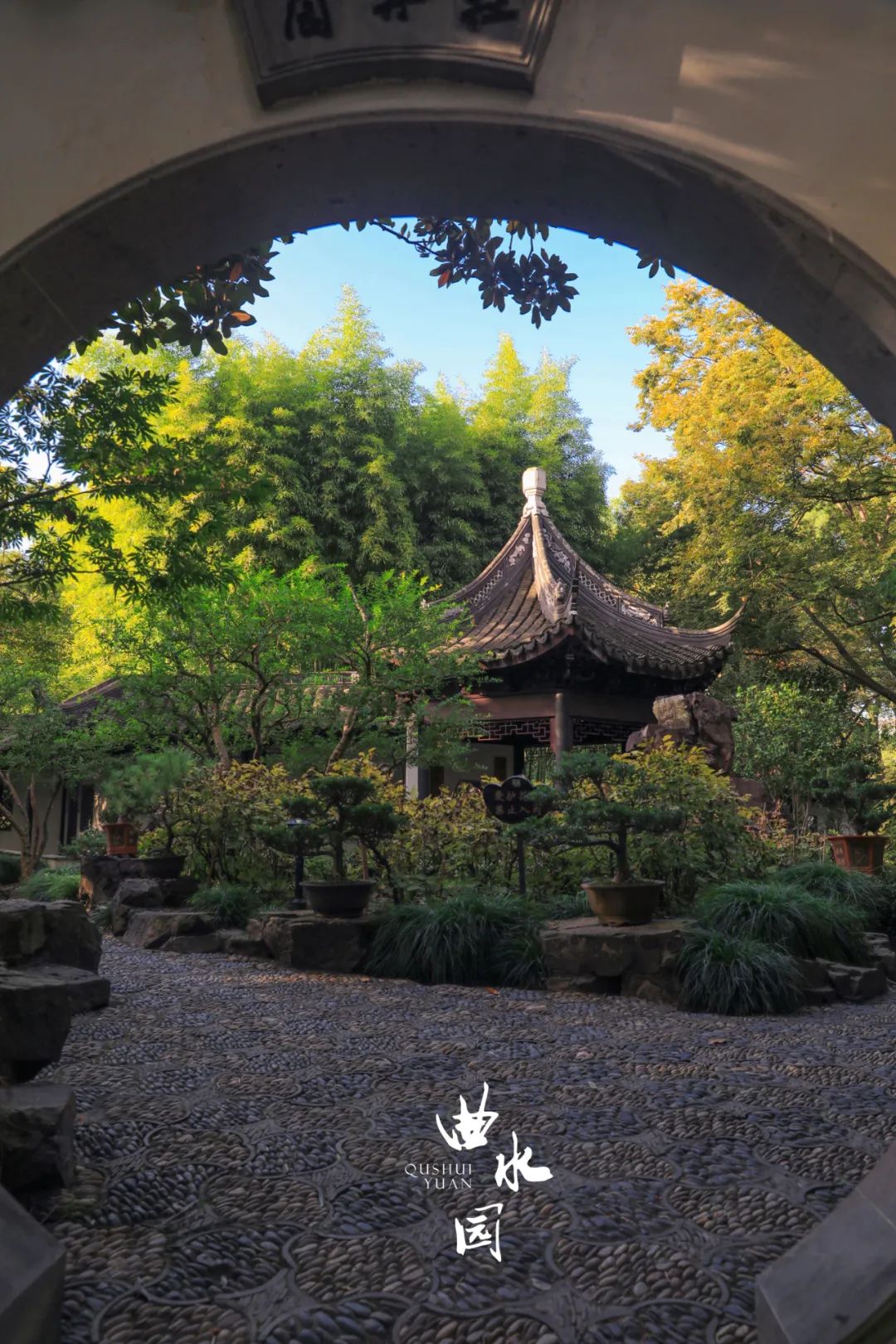 看,镜头下的曲水园