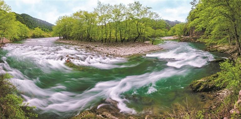 贵州:在水一方湿地美|贵州省_新浪财经_新浪网