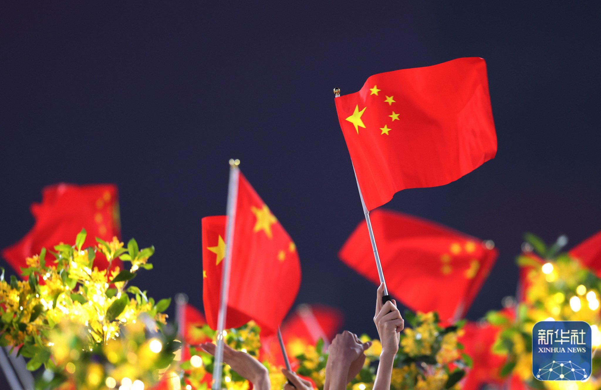 中国代表团成员在闭幕式上挥舞国旗.新华社记者 张涛 摄
