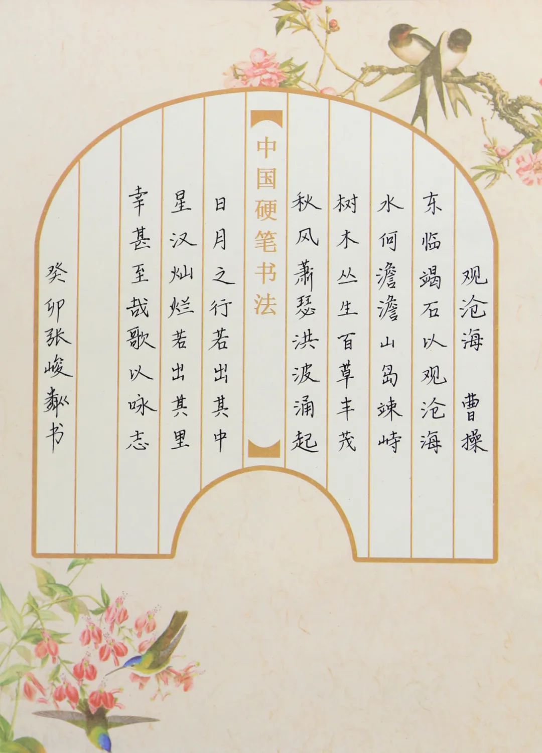 观沧海 张峻粼(财务公司)/书