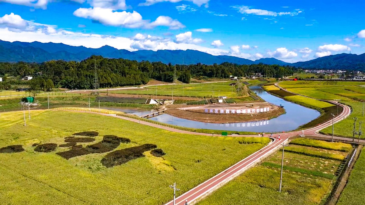 陇西河粮油现代农业园区.黄刚 摄