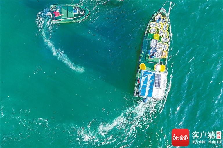 海南日报记者 王程龙 摄