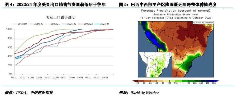 长假期间海外下跌显著 节后油脂如何走