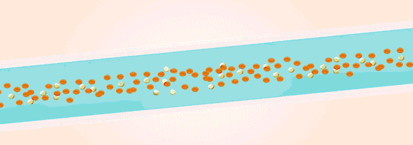 怎么用医疗灌注再添指南！《妇科肿瘤腹腔热灌注治疗临床应用指南（2023年版）》出炉_https://www.jmylbn.com_新闻资讯_第15张