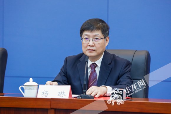 杨琳介绍相关情况.华龙网记者 石涛 摄