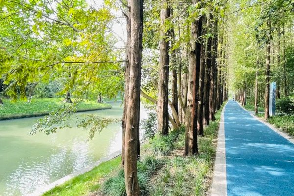 闵行春申塘北岸绿道修建完成,园区居民再添休闲好去处_新浪财经_新浪