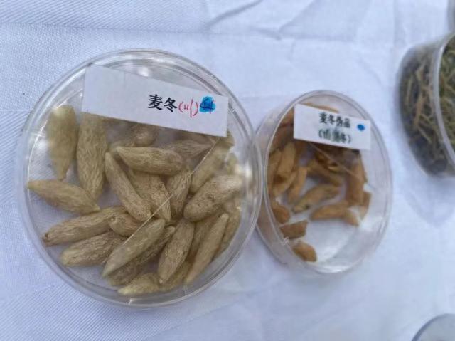 化瘀,凉血解毒,解郁安神的功效,用于治疗月经不调,经闭,产后恶露不行