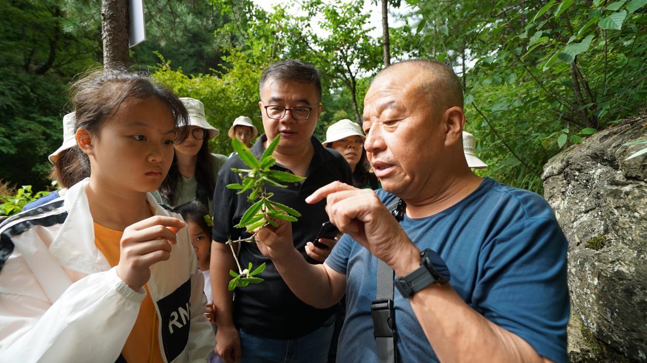 图 2佛坪大熊猫国家公园党老师为志愿者们讲解植物