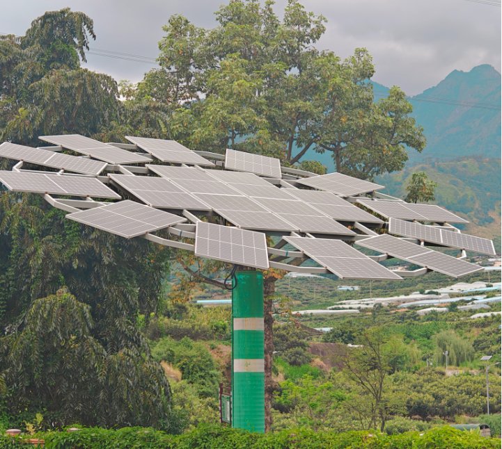 龙华村的"太阳树"——小型光伏发电站.图片由省农村能源发展中心提供
