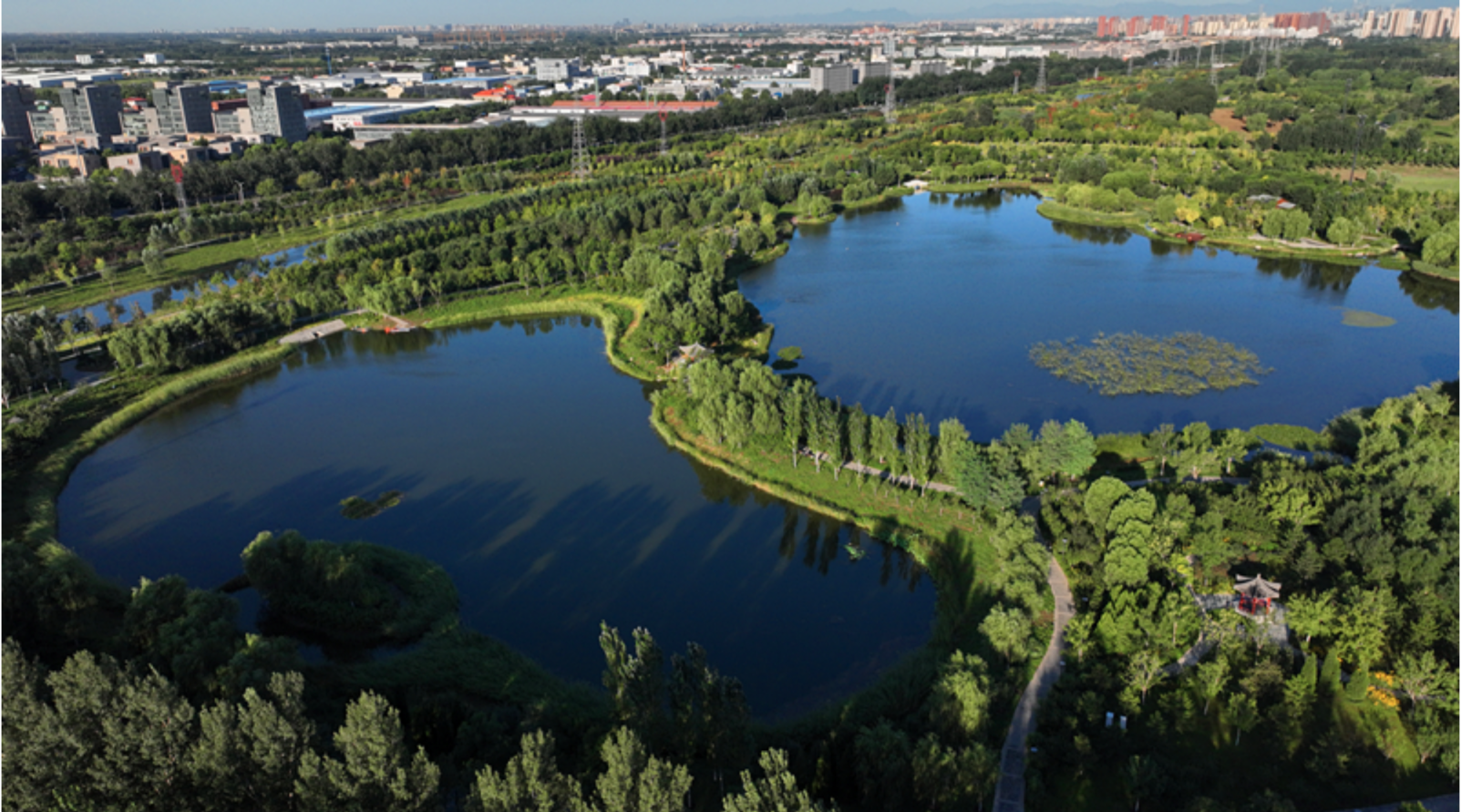 通州公布首批区级湿地,大运河森林公园等125处上榜|通州市_新浪财经