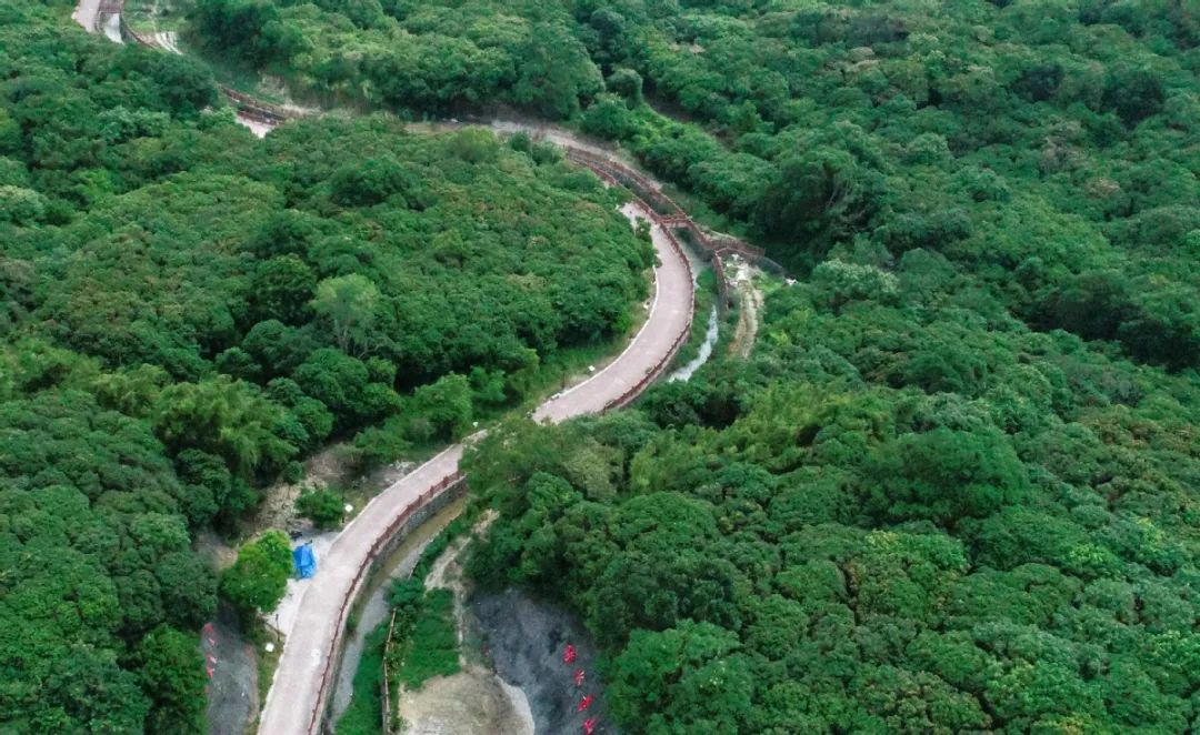 就在珠海这里,开放时间→|森林公园_新浪财经_新浪网