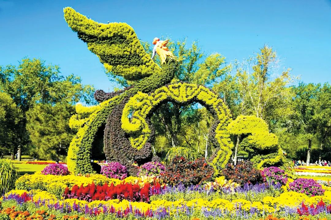 2023北京菊花文化节十大展区菊韵金秋|北京市_新浪财经_新浪网