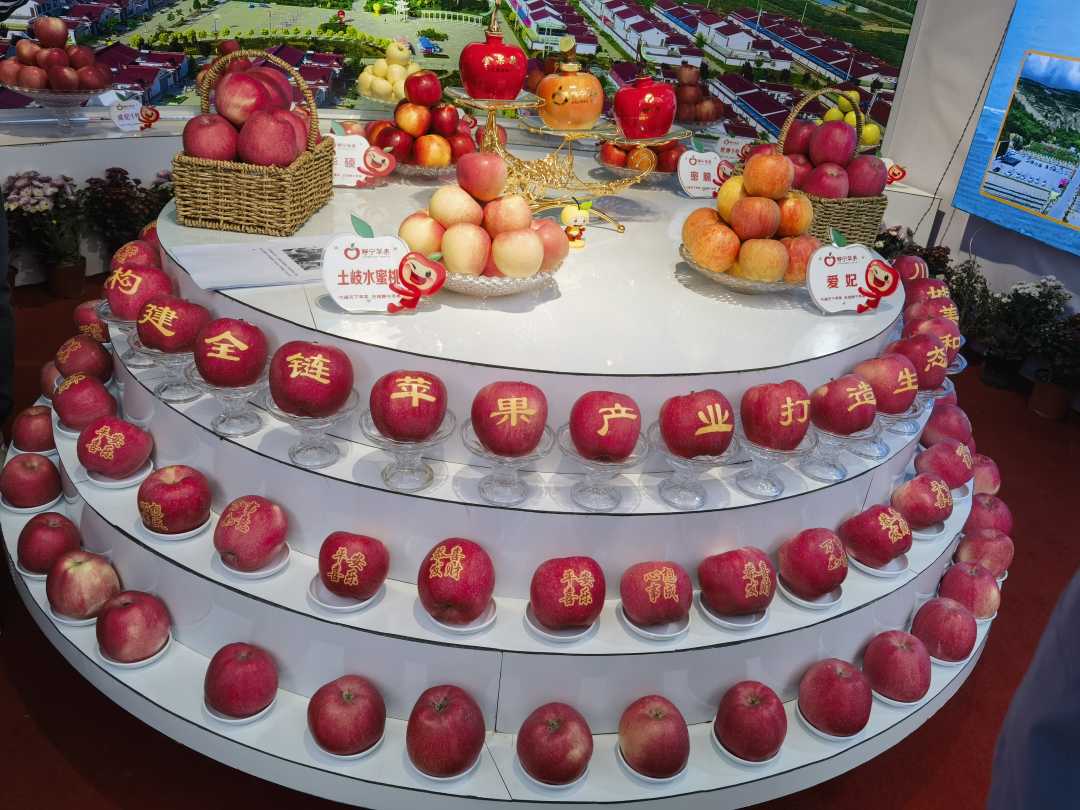 "静宁苹果"特展区的乡镇展台.赵梅摄