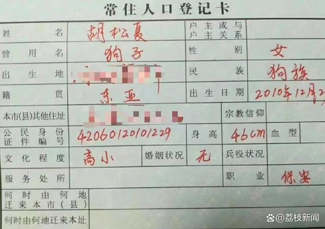 把狗写在户口本上?应科学面对伴侣动物的议题|荔枝时评
