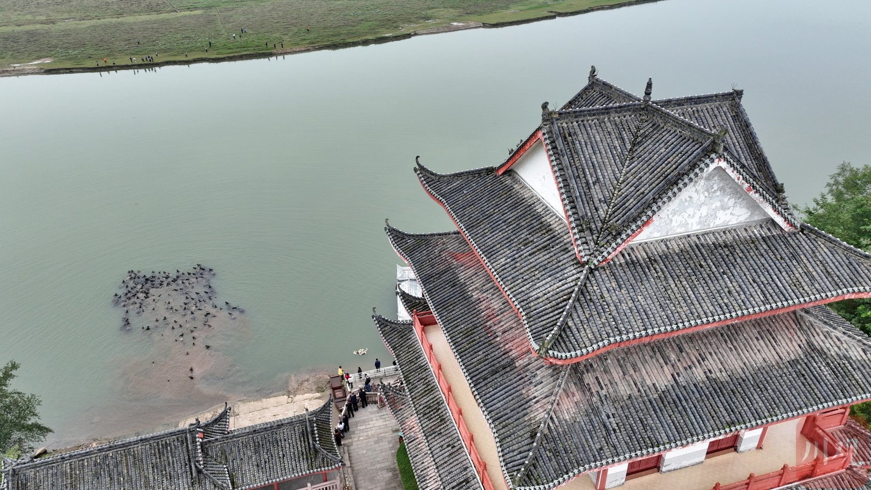 图集丨南充蓬安:百牛渡江"趟"出乡村振兴路|嘉陵江_新浪财经_新浪网