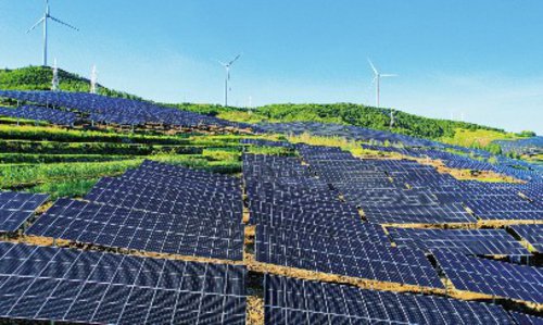 华能日照电厂:为绿色低碳高质量发展贡献央企力量|日照市_新浪财经