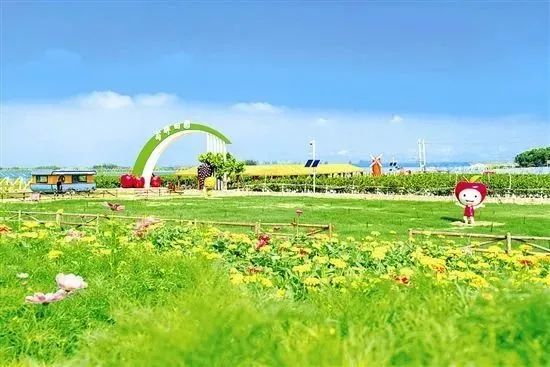 禹州市人口_凤凰资讯_资讯_凤凰网(2)