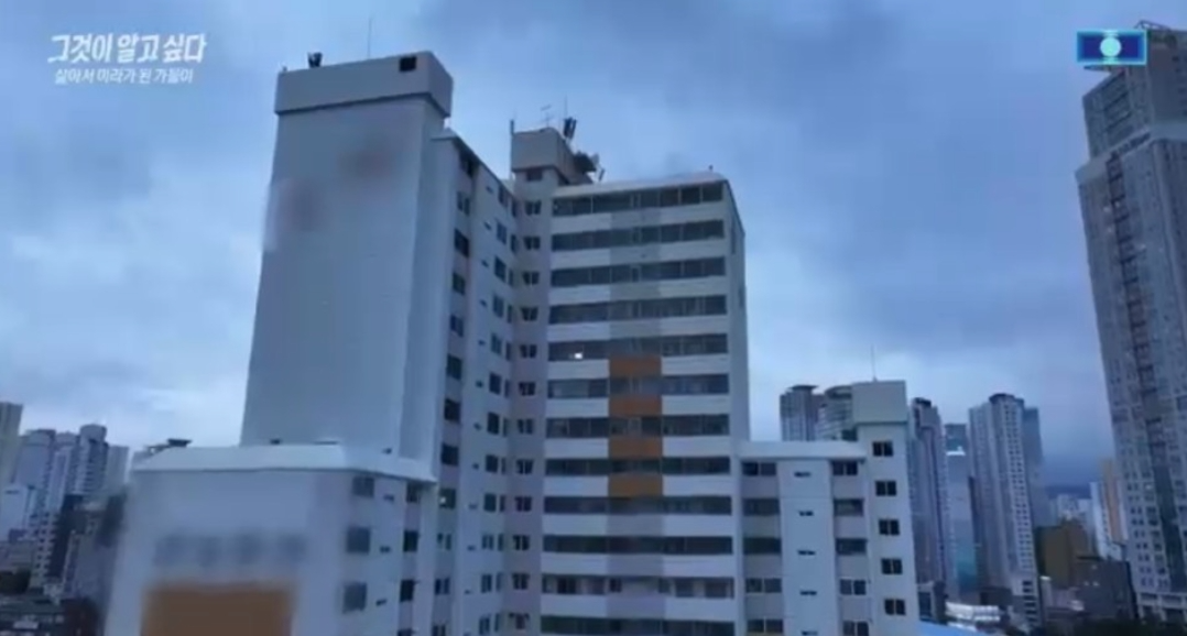 app软件介绍通用