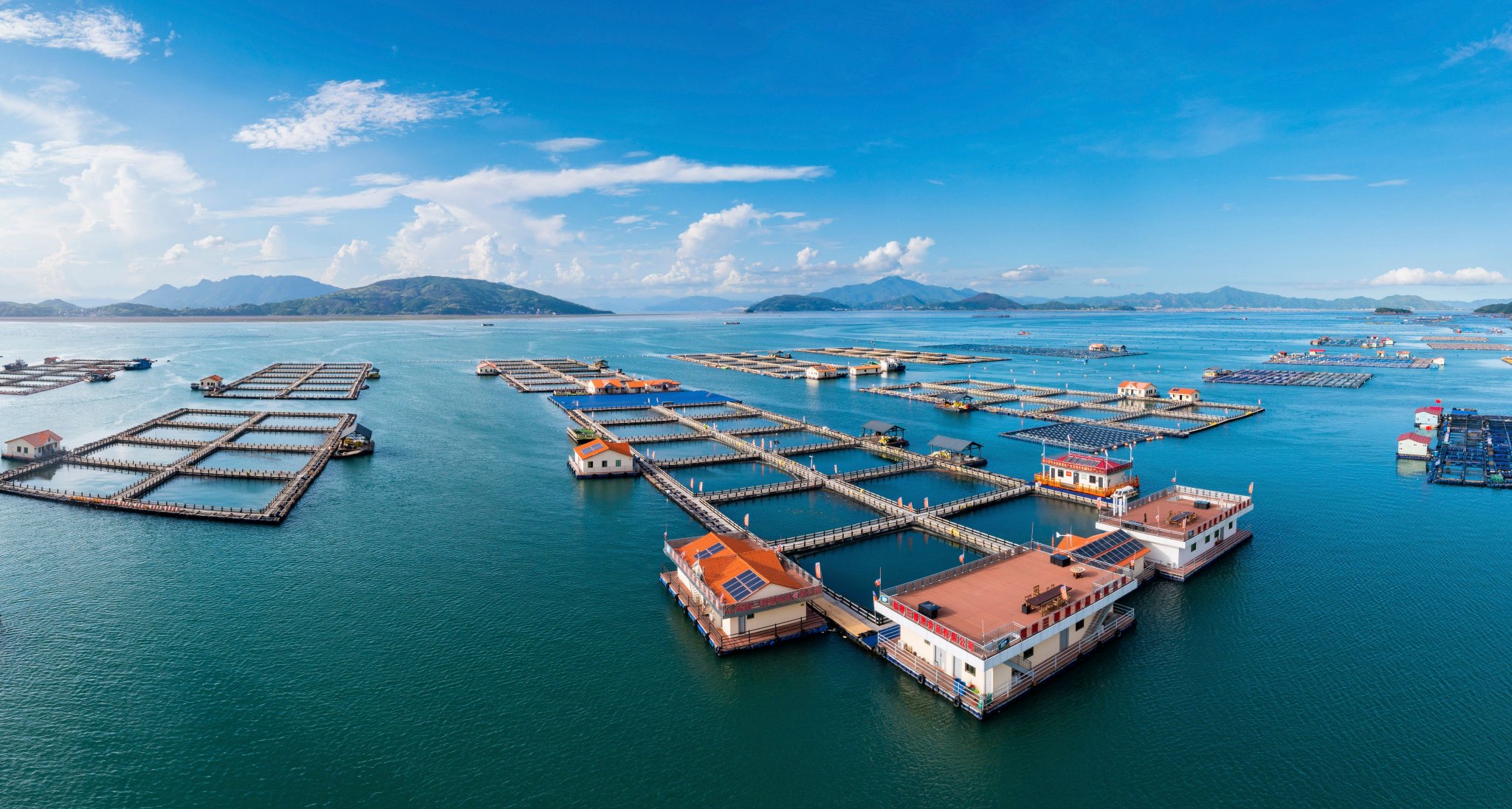 宁德三都澳白基湾海域的新型大黄鱼养殖渔排(无人机照片,7月17日摄).