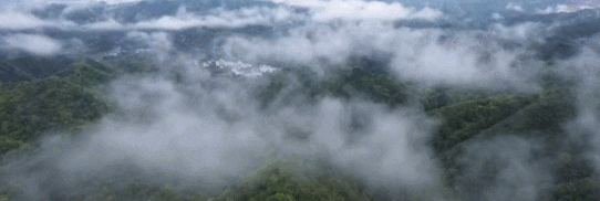 也有朋友觉得是小时候姥姥家柴房的味道，总之很亲切