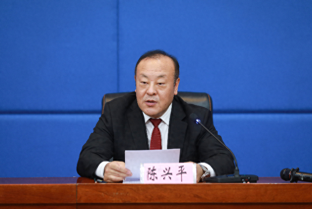 齐齐哈尔市人民政府市长职务的决定;决定任命陈兴平为市政府副市长