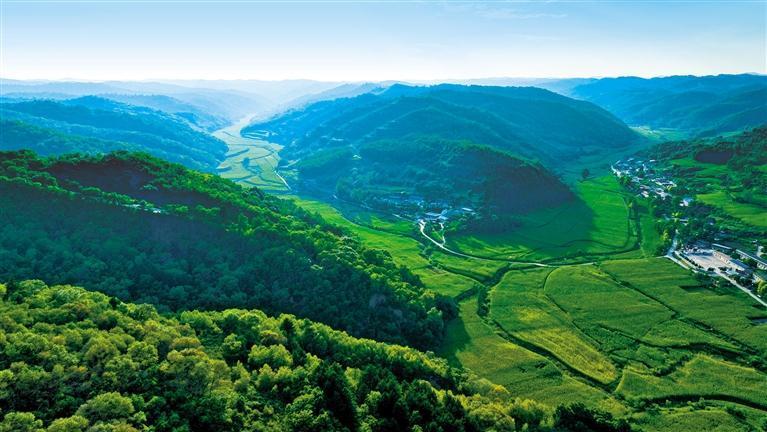 通讯员 祁小军摄曾经的黄土高原植被稀少,风沙漫天,在头上围一条能遮