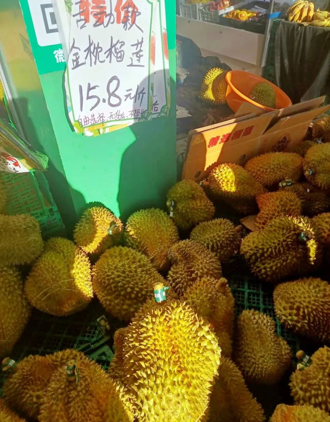 钦州水果店榴莲.融媒体记者&nbsp;潘定盼&nbsp;摄