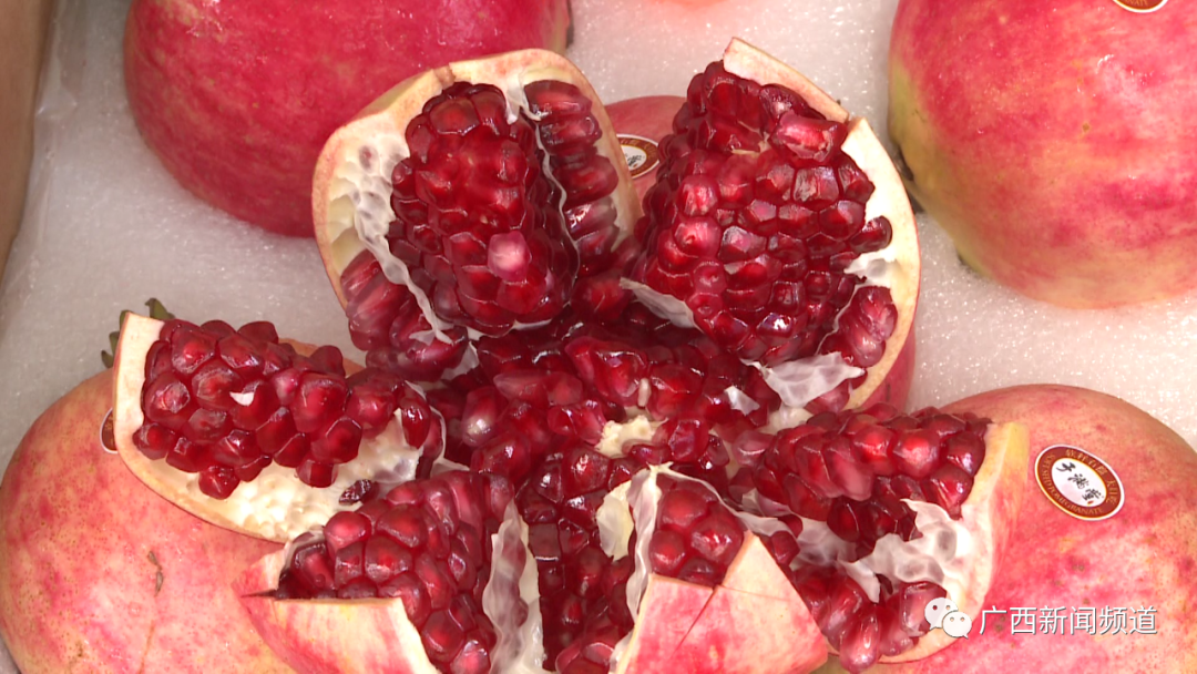 软籽石榴.图源广西新闻频道