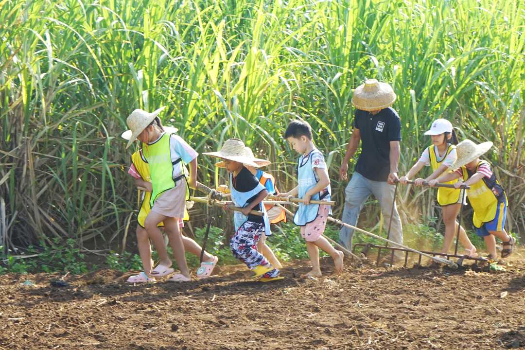 小朋友们在海南临高耕读山房研学基地体验农耕乐趣.陈江豪摄