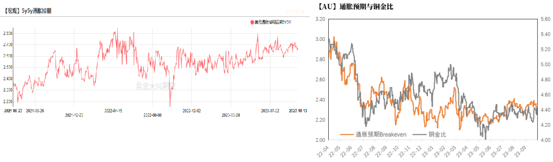 数据来源：Wind，紫金天风期货研究所