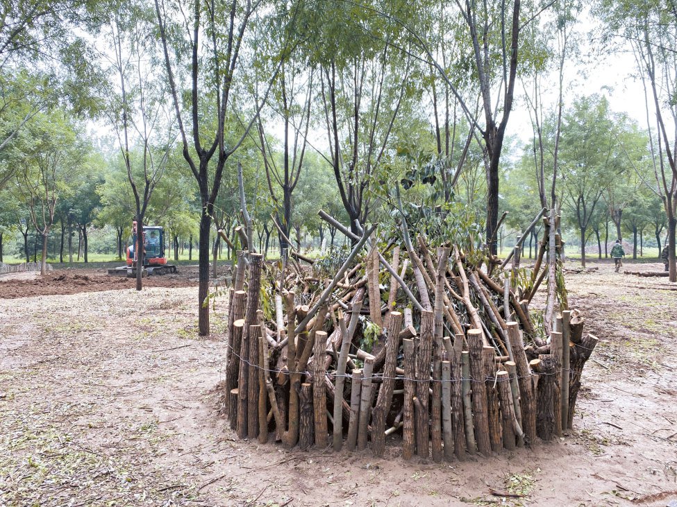 本杰士堆(人造灌木丛,以发明者本杰士命名).朱松梅 摄