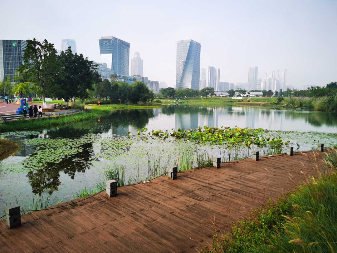 成都桂溪生态公园一角.经济日报记者 杨 然摄