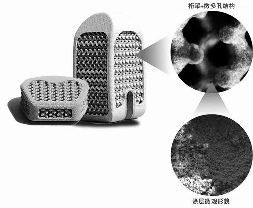 空军军医大学唐都医院供图