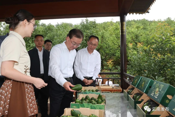 这是一道省委书记关注的必答题|农产品_新浪财经_新浪网