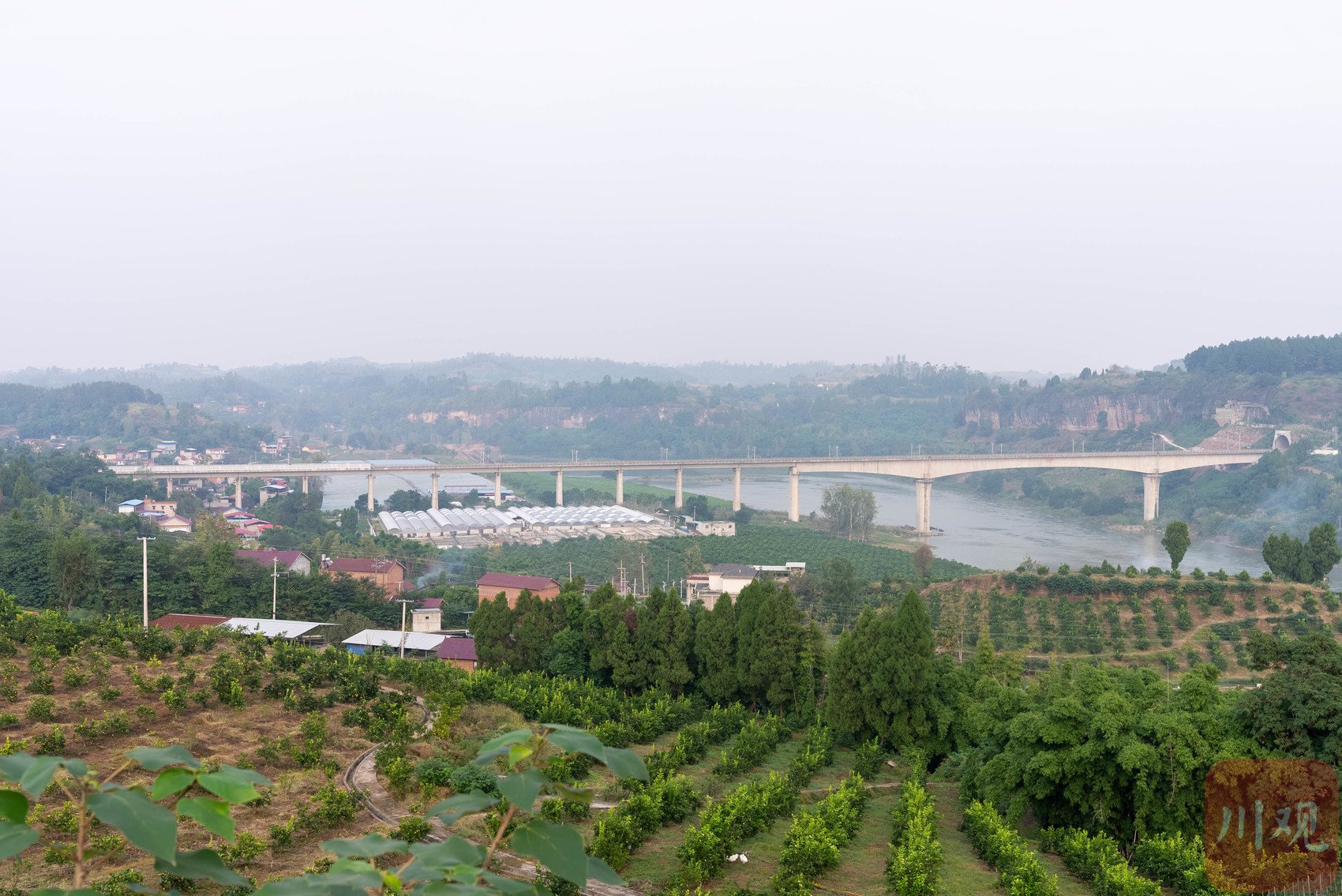 资中橙堡鱼乡融合发展示范园. 四川在线记者 黄潇 摄