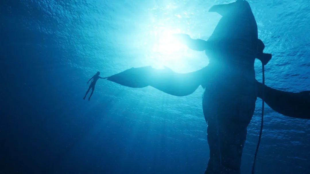 ▲潘多拉星球的大型海洋生物“图尔鲲”，图源：《阿凡达：水之道》官方剧照