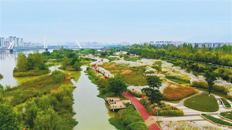 汉中天汉湿地公园图片
