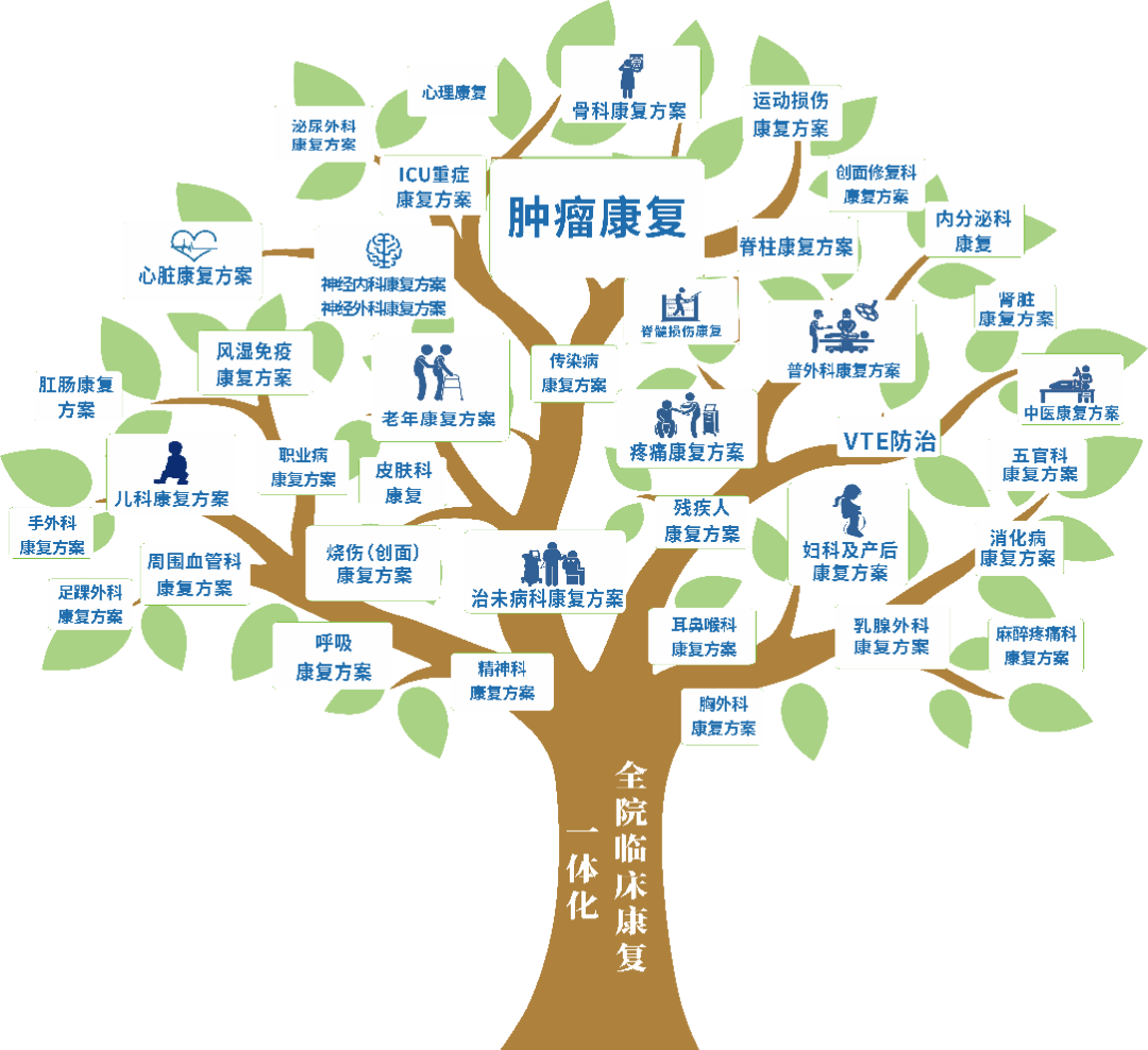 吞咽治疗仪怎么用【县级医院康复方略】肿瘤科康复建设方案_https://www.jmylbn.com_新闻资讯_第1张